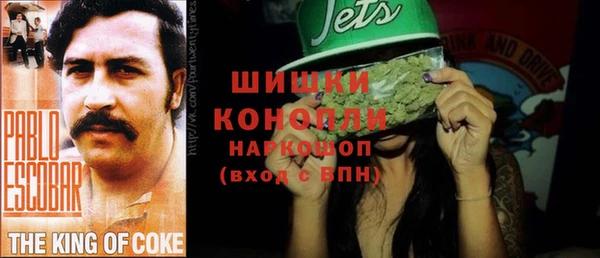 круглые Пересвет