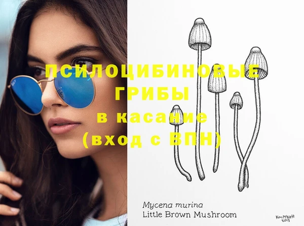 винт Пестово