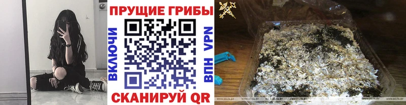 Псилоцибиновые грибы мухоморы  площадка телеграм  Слюдянка  mega ТОР 